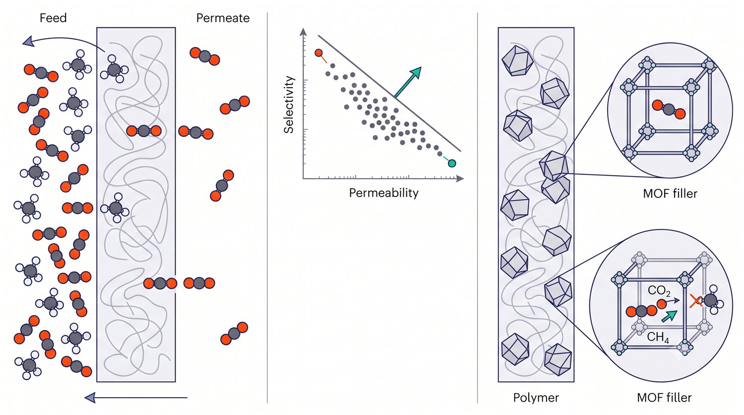 Three panels. Left, a dense polymer film shown edge-on with tangled chains: a crowded feed of
                          methane and carbon dioxide on one side, carbon dioxide dissolving into and diffusing through
                          the film, and a sparse carbon-dioxide-rich permeate on the other. Centre, a log-log plot of
                          selectivity against permeability in which a cloud of points trends downward to the right
                          beneath a straight upper bound line, with an arrow pointing up and across it. Right, the same
                          polymer film now holding dispersed faceted crystals, with two magnified callouts showing an
                          ordered cubic framework of metal nodes and linkers, a carbon dioxide molecule passing through
                          a window and a larger methane molecule rejected.